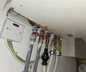 We nova house hiu damage 2 image