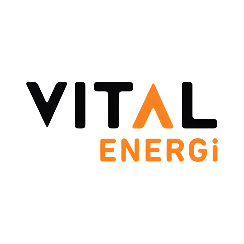 Vital energi