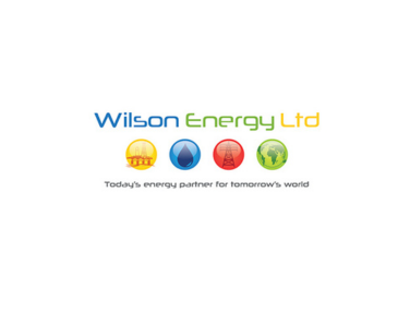 WilSon logo